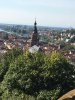 IMG_0098.JPG