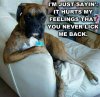 Funny-dog-Im-just-saying(2).jpg