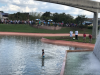 8AB144AE-25B3-4420-B4BB-6B7B7DAFA745.png