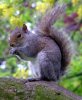 upload_2017-10-3_16-15-1.jpeg