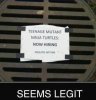 LegitTurtles(1).jpg