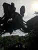 D846FD1A-51F0-41E1-8FD4-9AA683B87104.jpeg
