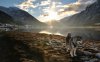23229-husky-in-the-mountains-1280x800-animal-wallp.jpg