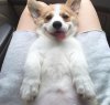 tumblr_ovtvyrJCfd1sn75h6o1_540.jpg