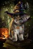 e4f9c4472f6123818cb1787b9086a1c9--halloween-cat-ha.jpg