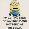 Top-40-Funniest-minions-memes-pics-funny-591x586(1.jpg