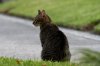 DSC_2904_DxO.jpg
