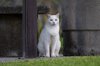 DSC_2921_DxO.jpg