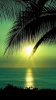 upload_2017-10-26_5-21-29.jpeg