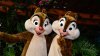 walt-disney-world-animal-kingdom-character-changes-january-2014-10.jpg