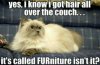 cat-humoes-i-know-i-got-hair-all-over-couch-its(1).jpg