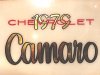 1979Camaro2.jpg