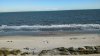 abeach.jpg