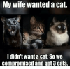 my-wife-wanted-a-cat-i-didnt-want-a-cat-25274579.png