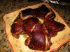 cherry smoke chicken.jpg