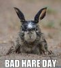 bad-hair-day-funny-pictures1.jpg