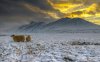 38230-golden-sunset-at-the-snowy-mountains-1280x80.jpg