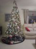 20171130_213148_Burst01.jpg