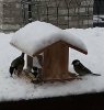 DSC_0367.JPG