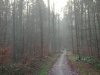 DSC_0398.JPG