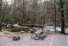 elkmont campsite2.jpg