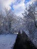DSC_0416.JPG