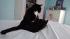 20171209_145133.jpg