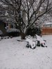 20171209_154009.jpg
