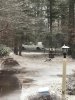 first snow winter 2017.jpg
