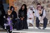 DSC_3386_DxO.jpg