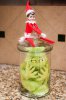 Day+11-+Captured+Mr+Grinch+(1+of+1).jpg