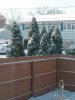20171214_092425.jpg