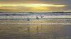 seagulls-flying-above-the-waves-at-sunset-50873-19.jpg