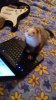 e29b0c1fc9f4b86b0db144f5508cfc09--tube-socks-jethro.jpg