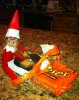 cbb847b60f0c8fe5ed73696e28193509--christmas-items-.jpg