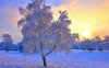 colored_winter_sunset-wallpaper-1280x800.jpg