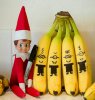 Elf-on-the-Shelf-10(2).jpg