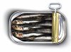 Sardines.jpg