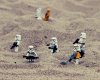 26569-lego-stormtroopers-in-the-sand-1280x800-funn.jpg