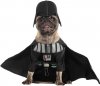 party_citydarth_vader_pug_2bbef4dd660db52455aeff2768e556bb.today-inline-large.jpeg