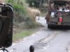 Rhino in the road.JPG