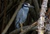 DSC_4400_DxO.jpg