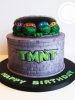 84c493d916fe4489dc1de6b2d06f8160--tmnt-cake-turtle-cakes.jpg