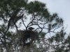 IMG_7322.JPG