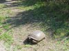 IMG_7355.JPG