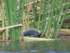 IMG_7382.JPG