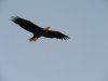 IMG_7474.JPG