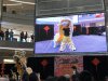 IMG_1295.JPG