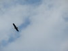 IMG_7627.JPG