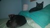 20180225_115214.jpg